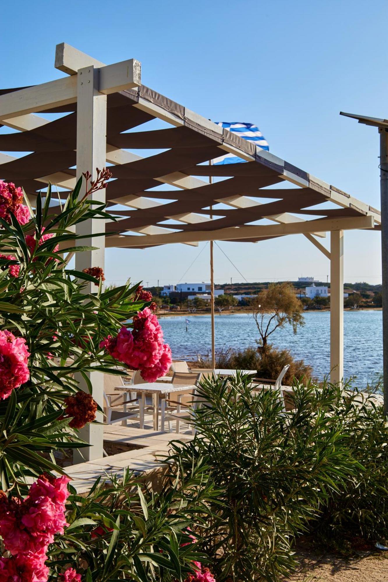 Theologos Beach Antiparos Town Eksteriør bilde